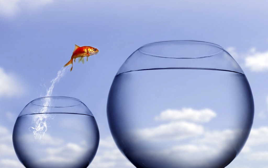 Image of a goldfish jumping out of a small bowl into a bigger bowl